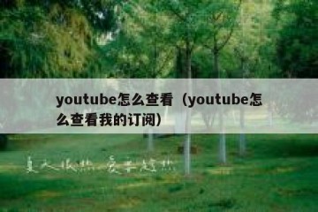 youtube怎么查看（youtube怎么查看我的订阅）