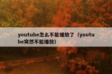 youtube怎么不能播放了（youtube突然不能播放）