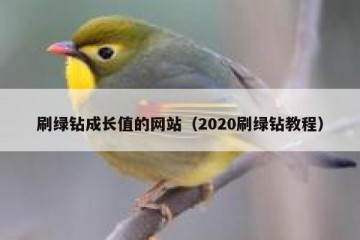 刷绿钻成长值的网站（2020刷绿钻教程）