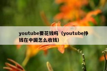 youtube要花钱吗（youtube挣钱在中国怎么收钱）