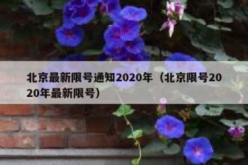 北京最新限号通知2020年（北京限号2020年最新限号）