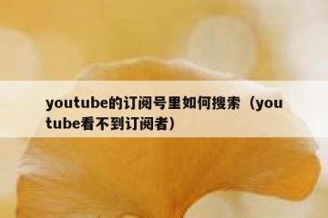 youtube的订阅号里如何搜索（youtube看不到订阅者）