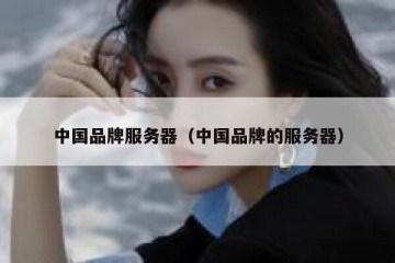 中国品牌服务器（中国品牌的服务器）