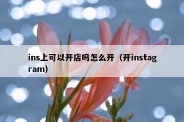 ins上可以开店吗怎么开（开instagram）