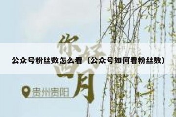 公众号粉丝数怎么看（公众号如何看粉丝数）