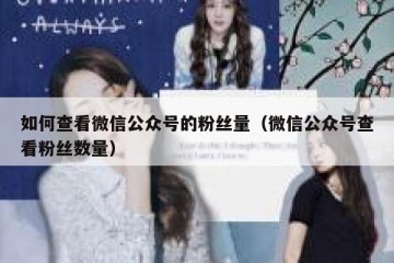 如何查看微信公众号的粉丝量（微信公众号查看粉丝数量）