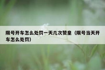 限号开车怎么处罚一天几次赞皇（限号当天开车怎么处罚）