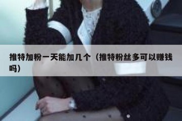 推特加粉一天能加几个（推特粉丝多可以赚钱吗）