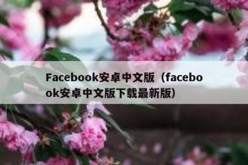 Facebook安卓中文版（facebook安卓中文版下载最新版）