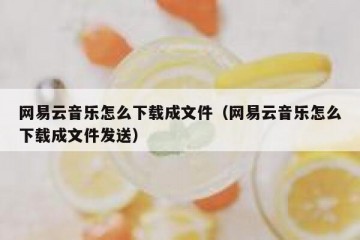 网易云音乐怎么下载成文件（网易云音乐怎么下载成文件发送）