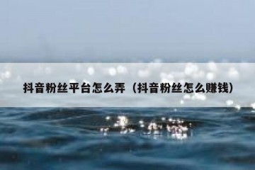 抖音粉丝平台怎么弄（抖音粉丝怎么赚钱）