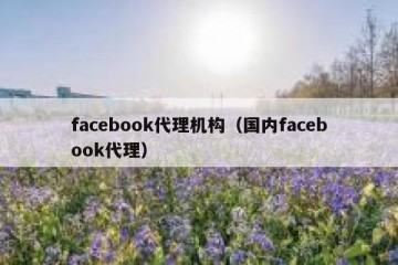 facebook代理机构（国内facebook代理）