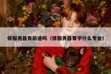 修服务器有前途吗（修服务器要学什么专业）