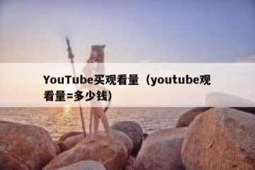 YouTube买观看量（youtube观看量=多少钱）