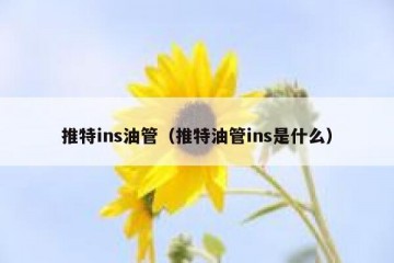 推特ins油管（推特油管ins是什么）