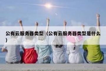 公有云服务器类型（公有云服务器类型是什么）