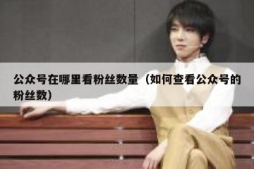公众号在哪里看粉丝数量（如何查看公众号的粉丝数）