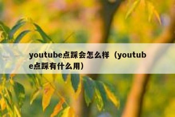 youtube点踩会怎么样（youtube点踩有什么用）