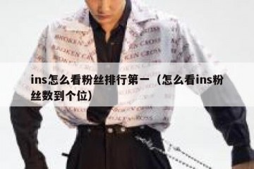 ins怎么看粉丝排行第一（怎么看ins粉丝数到个位）