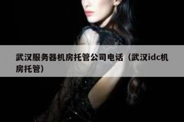 武汉服务器机房托管公司电话（武汉idc机房托管）