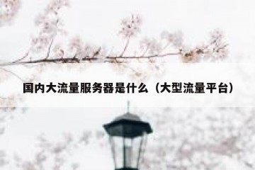 国内大流量服务器是什么（大型流量平台）