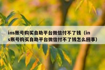 ins账号购买自助平台微信付不了钱（ins账号购买自助平台微信付不了钱怎么回事）