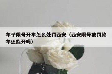 车子限号开车怎么处罚西安（西安限号被罚款车还能开吗）