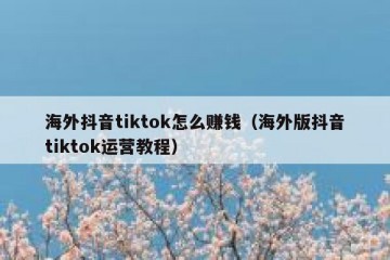 海外抖音tiktok怎么赚钱（海外版抖音tiktok运营教程）