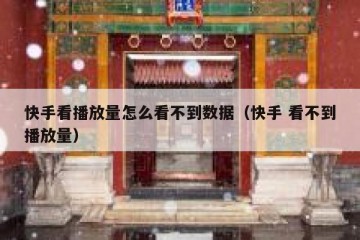 快手看播放量怎么看不到数据（快手 看不到播放量）