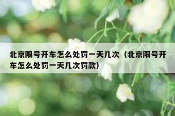 北京限号开车怎么处罚一天几次（北京限号开车怎么处罚一天几次罚款）
