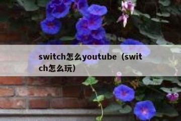 switch怎么youtube（switch怎么玩）