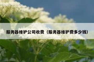 服务器维护公司收费（服务器维护费多少钱）