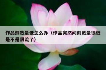 作品浏览量低怎么办（作品突然间浏览量很低是不是限流了）