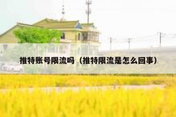 推特账号限流吗（推特限流是怎么回事）