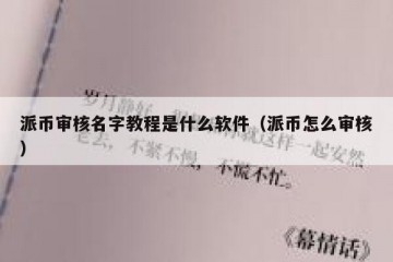 派币审核名字教程是什么软件（派币怎么审核）