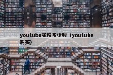 youtube买粉多少钱（youtube购买）
