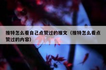 推特怎么看自己点赞过的推文（推特怎么看点赞过的内容）