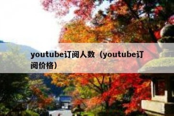 youtube订阅人数（youtube订阅价格）