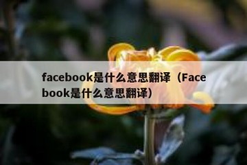 facebook是什么意思翻译（Facebook是什么意思翻译）
