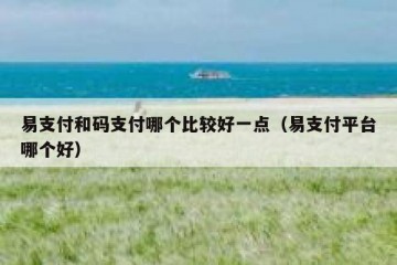 易支付和码支付哪个比较好一点（易支付平台哪个好）