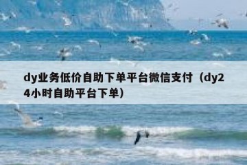 dy业务低价自助下单平台微信支付（dy24小时自助平台下单）