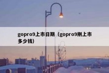 gopro9上市日期（gopro9刚上市多少钱）