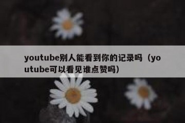 youtube别人能看到你的记录吗（youtube可以看见谁点赞吗）