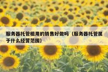 服务器托管租用的销售好做吗（服务器托管属于什么经营范围）