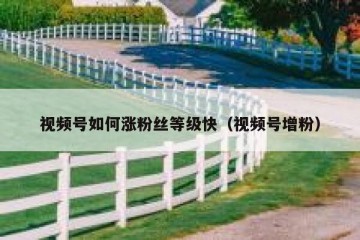 视频号如何涨粉丝等级快（视频号增粉）