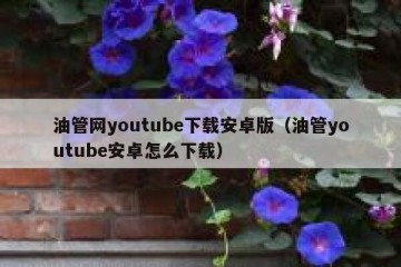 油管网youtube下载安卓版（油管youtube安卓怎么下载）