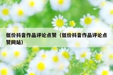 低价抖音作品评论点赞（低价抖音作品评论点赞网站）