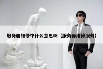 服务器维修中什么意思啊（服务器维修服务）