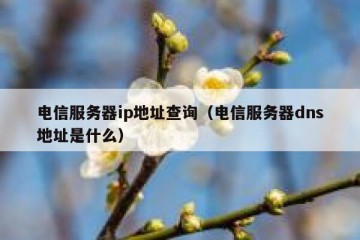 电信服务器ip地址查询（电信服务器dns地址是什么）