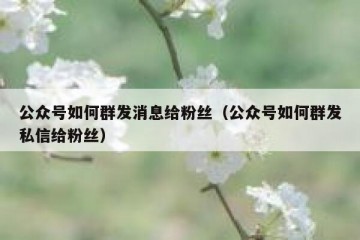 公众号如何群发消息给粉丝（公众号如何群发私信给粉丝）